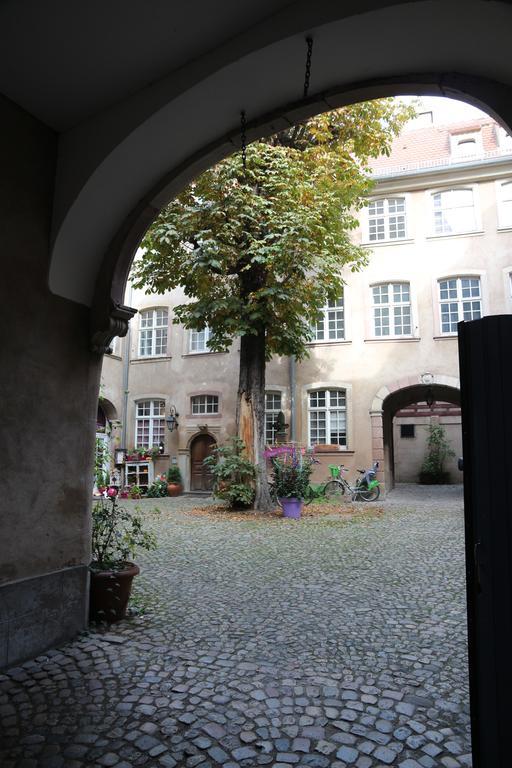 Les Dentelles - Appartement Meuble Design Petite France Strasburg Zewnętrze zdjęcie
